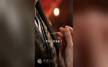沈家风云 合集