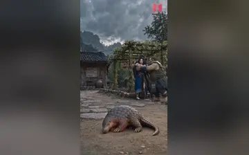 葫芦妹救奶奶 合集