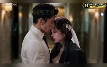 婚礼前夜我发现了新郎的秘密 合集