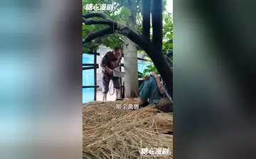 情有独钟 合集