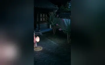【花容失色取花点】第5集