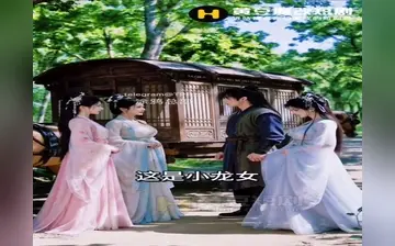 重生之征服郭伯母第二季 合集